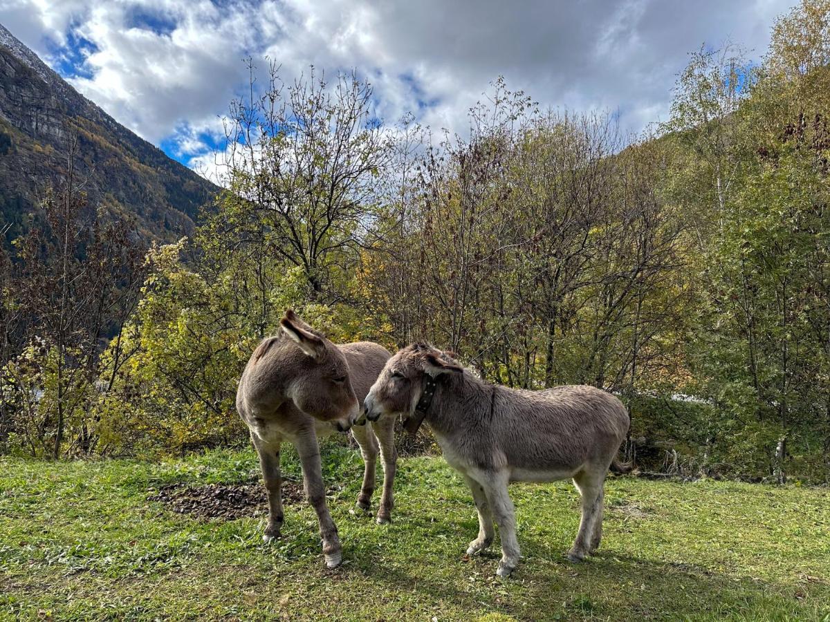 Cozyloge, Orelle & Les 3 Vallees Dış mekan fotoğraf